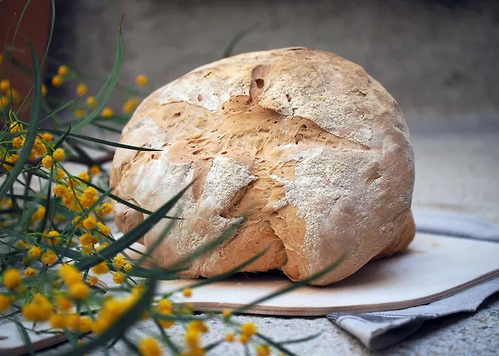 Rumevi Nocleg ze śniadaniem *